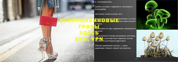 PSILOCYBIN Нягань