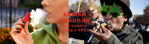 сатива Кедровый