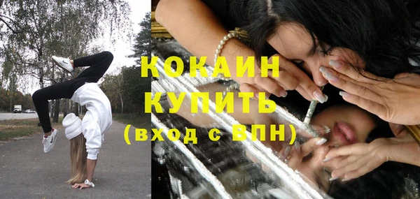 бошки Кемь