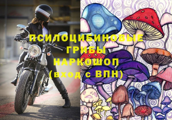 spice Нязепетровск