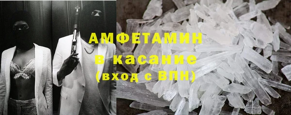 сатива Кедровый